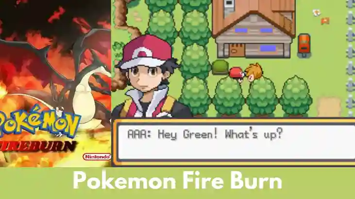 Pokemon Fire Burn